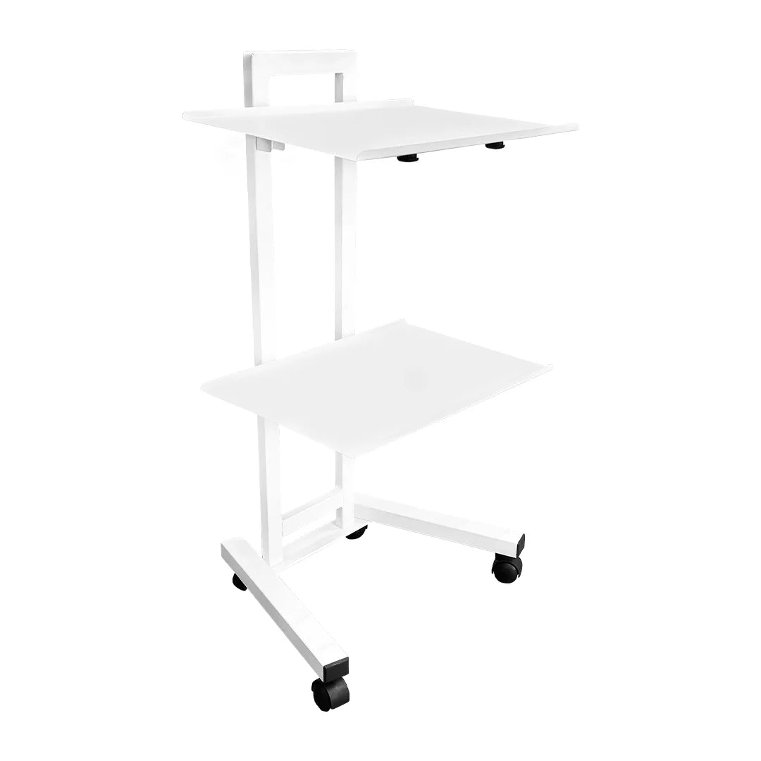 Tattoo Trolley Portable