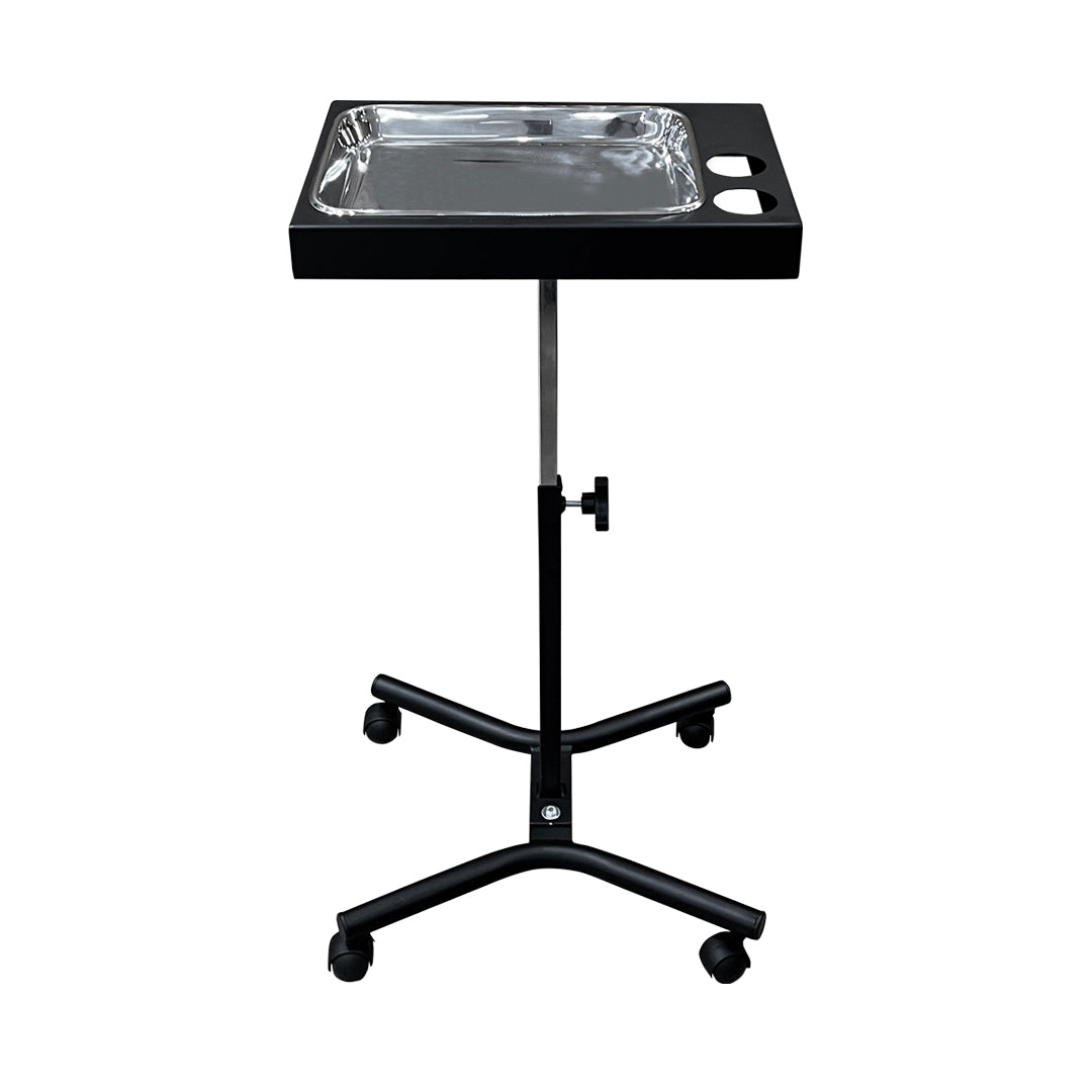 Buy Eapmic Hair Salon Spa Service Tray, Beauty Salon Instrument Roller  Trolley Cart Tattoo Rolling Tray Mobile Stand with Wheels Online at  desertcartINDIA